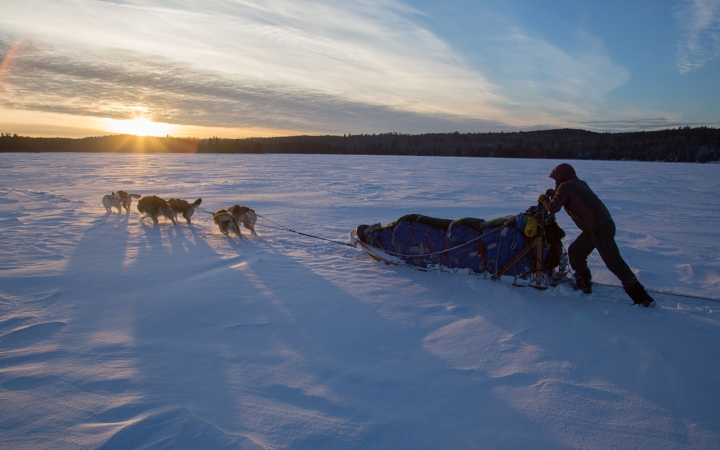 boundary waters dog sledding adventure for young adults